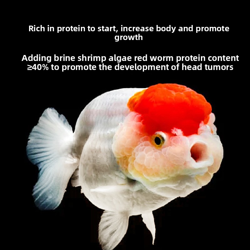 Fish Baby Sinking Goldfish Foo - Baby Food With Protein recension och pris