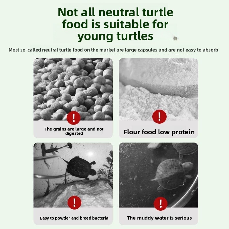 Nai chong Hatchling Turtle Foo - Baby Food With Protein recension och pris