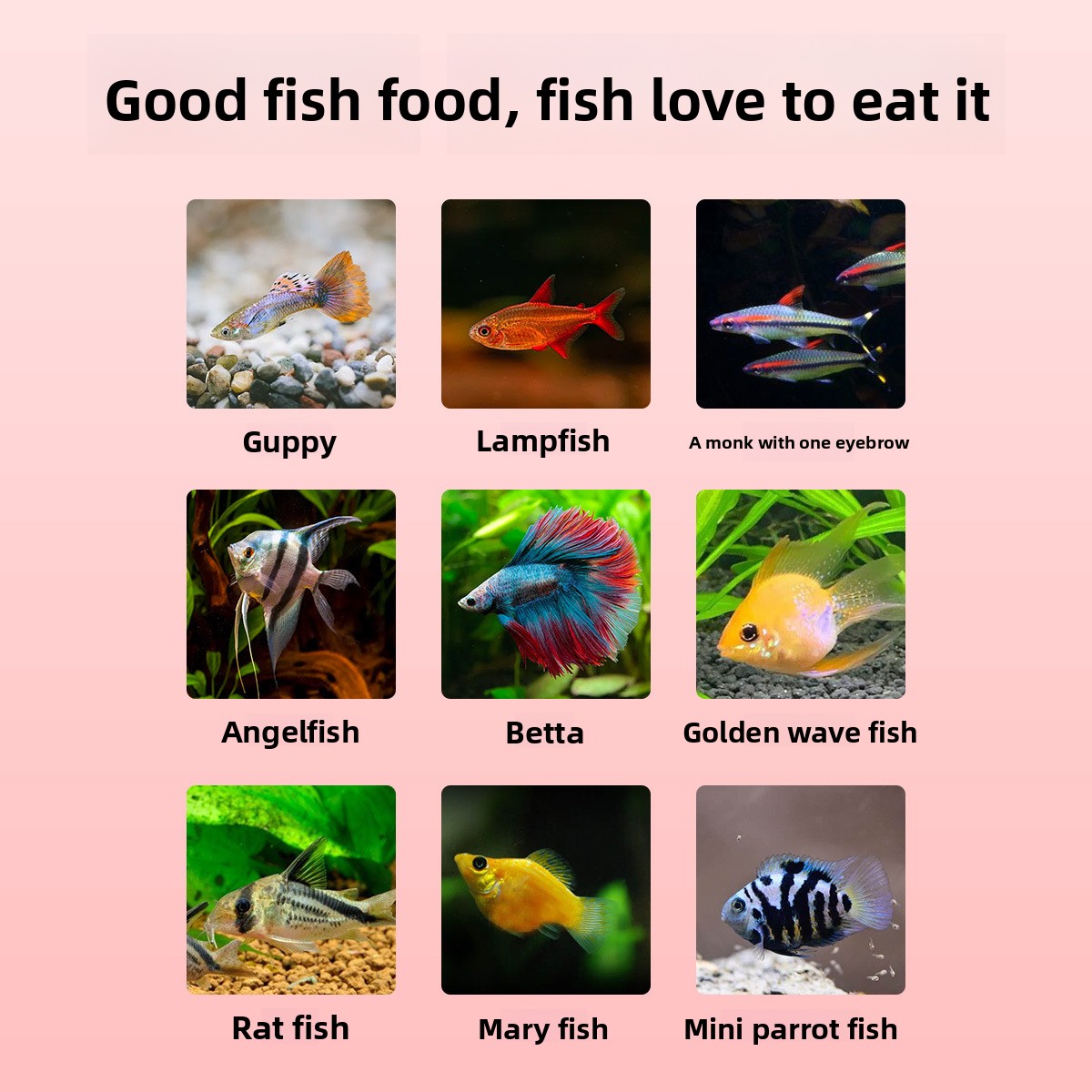 DINGZU Tropical Nano Fish Food - Baby Food With Protein recension och pris
