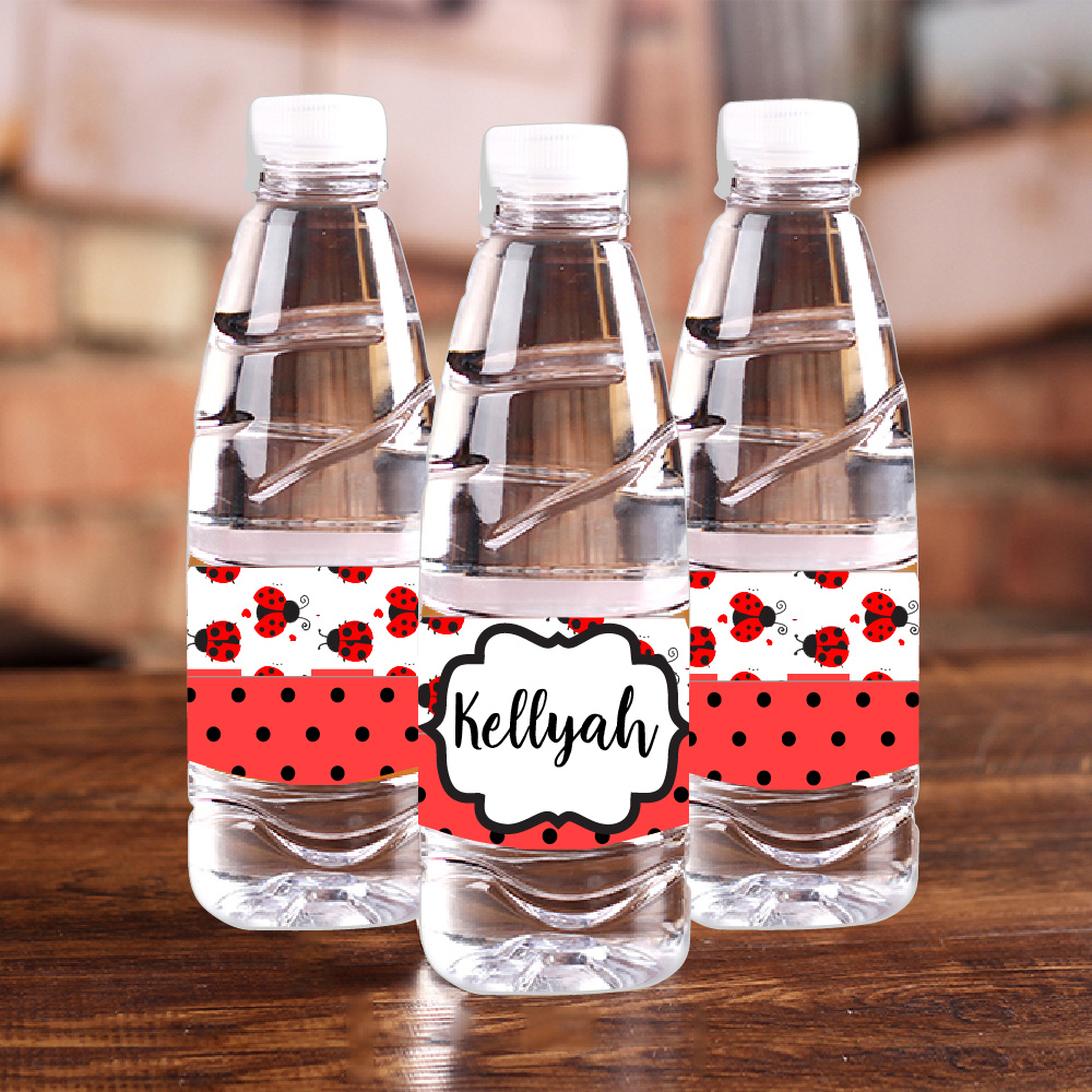 Personalised Ladybug Red Polka - Baby Food Grinder recension och pris